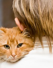 Is it Okay to Have a Pet When You Are Asthmatic? Is it Okay to Have a Pet When You Are Asthmatic?
